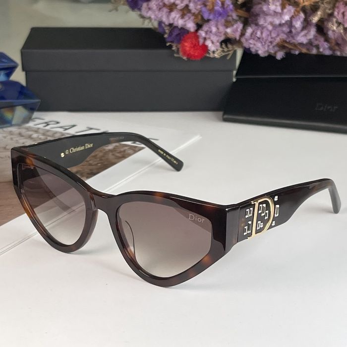Dior Sunglasses Top Quality DIS00835