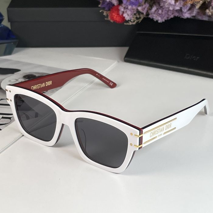 Dior Sunglasses Top Quality DIS00836