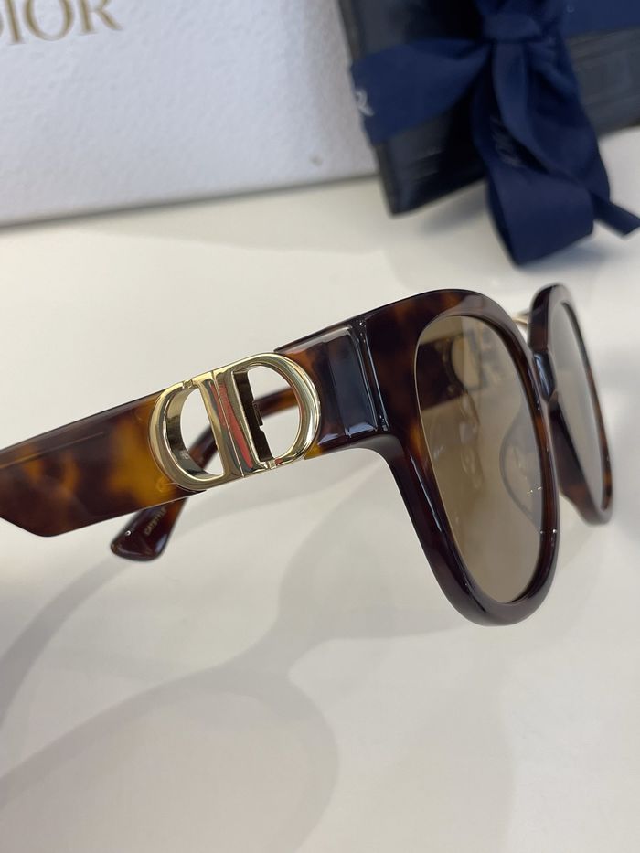 Dior Sunglasses Top Quality DIS00850
