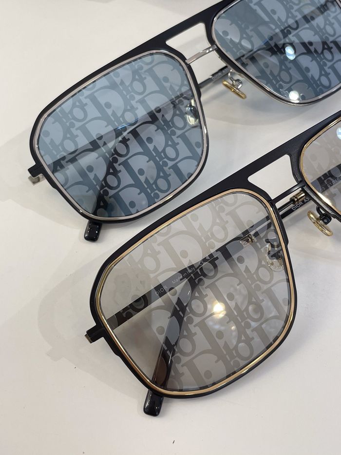 Dior Sunglasses Top Quality DIS00853