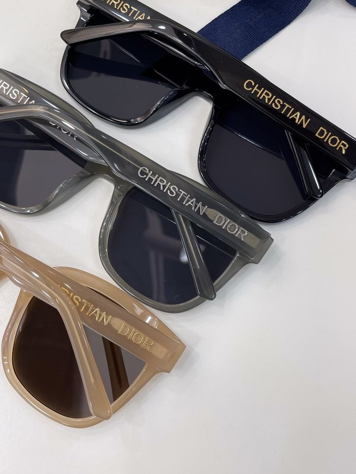 Dior Sunglasses Top Quality DIS00893