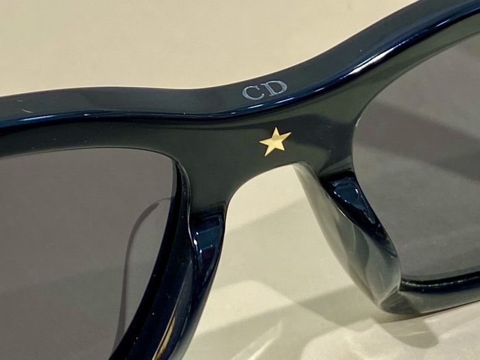Dior Sunglasses Top Quality DIS00899