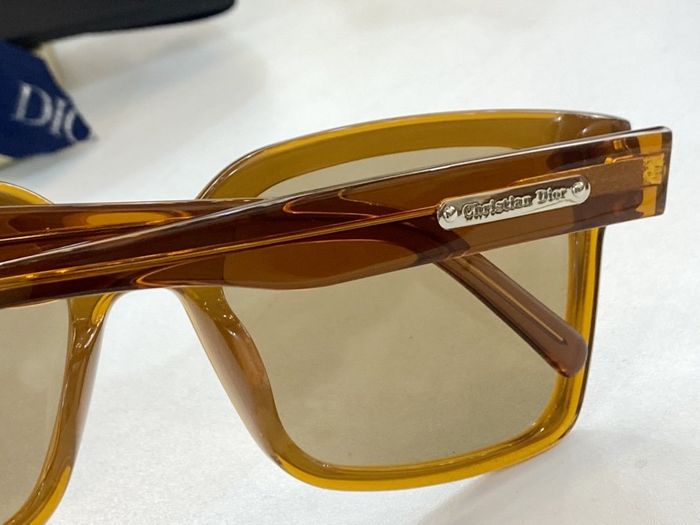 Dior Sunglasses Top Quality DIS00901