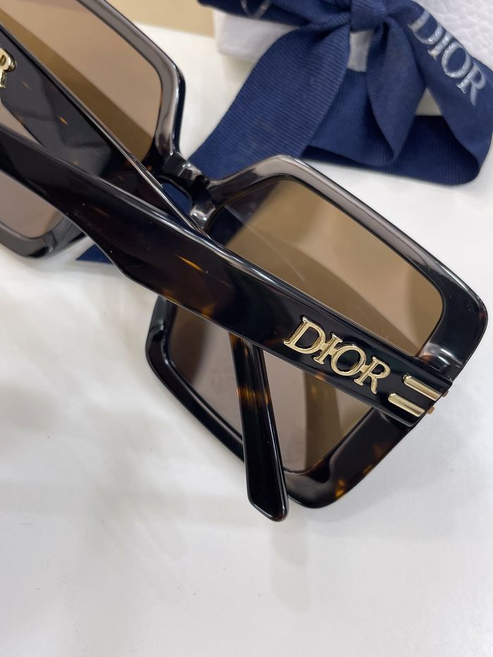 Dior Sunglasses Top Quality DIS00911