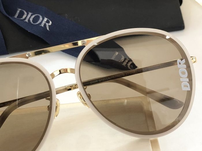 Dior Sunglasses Top Quality DIS00923