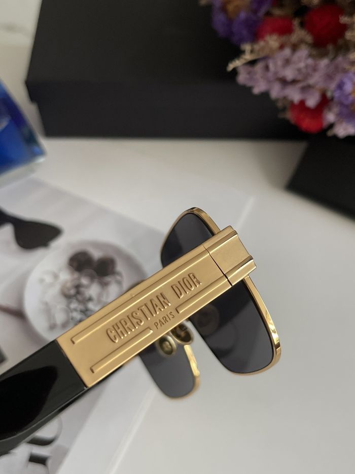 Dior Sunglasses Top Quality DIS00928