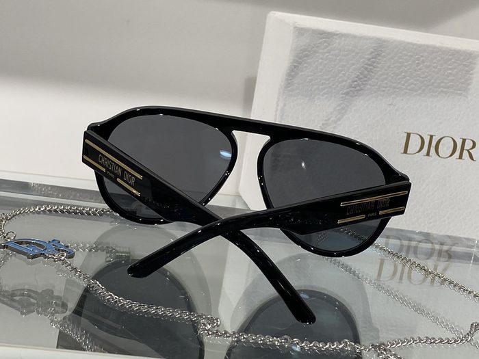 Dior Sunglasses Top Quality DIS00941