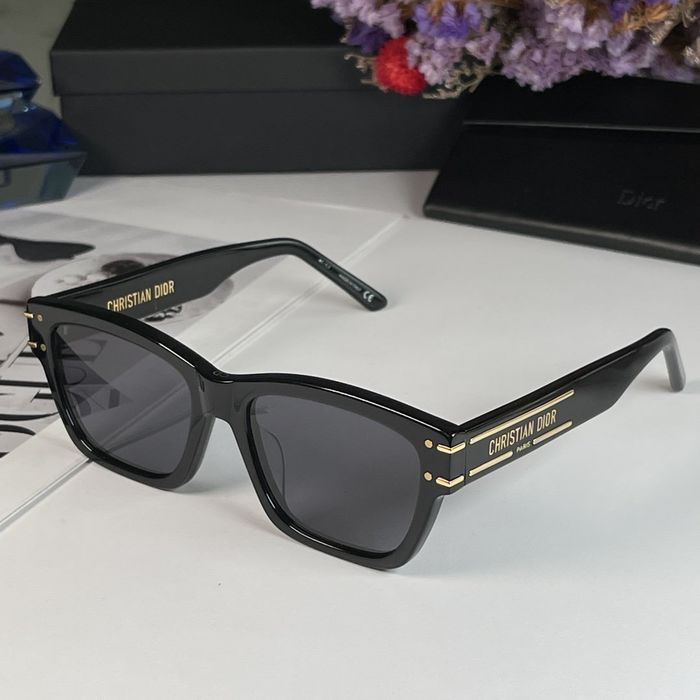 Dior Sunglasses Top Quality DIS00951