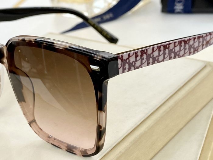 Dior Sunglasses Top Quality DIS00955