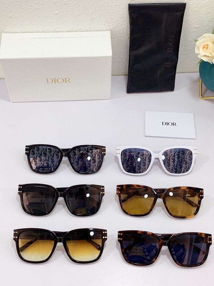 Dior Sunglasses Top Quality DIS00994