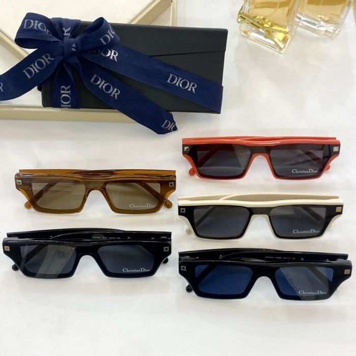 Dior Sunglasses Top Quality DIS01016