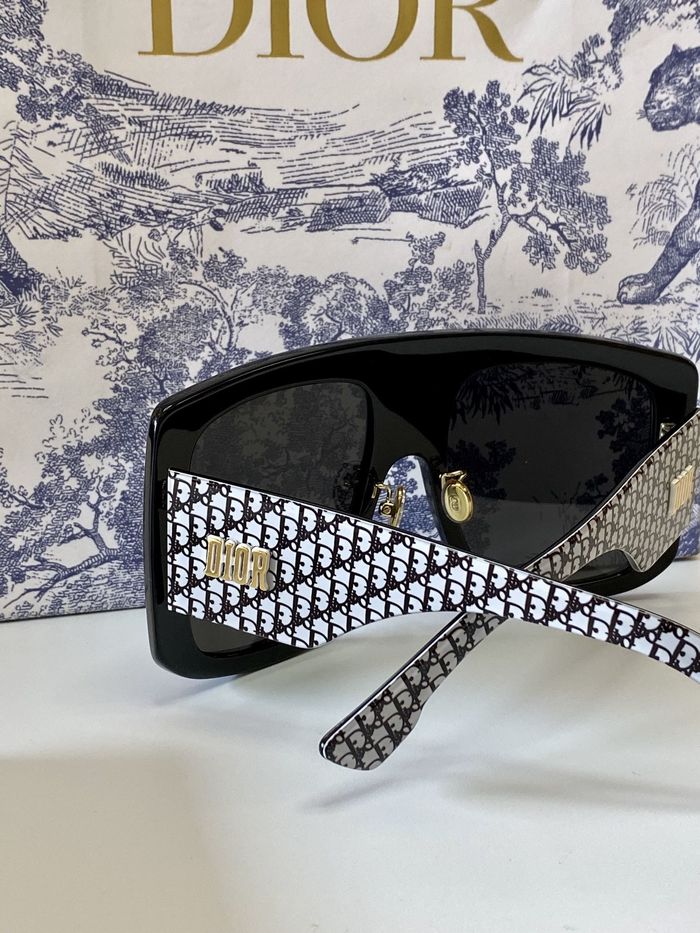 Dior Sunglasses Top Quality DIS01024