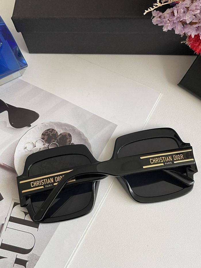 Dior Sunglasses Top Quality DIS01042