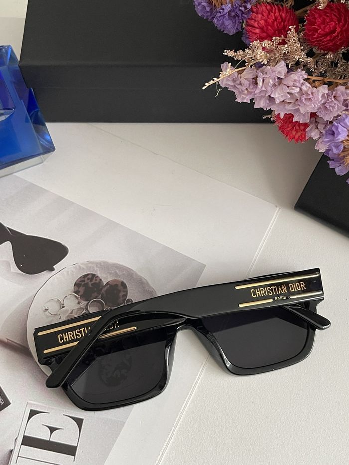 Dior Sunglasses Top Quality DIS01063