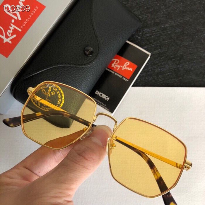 RayBan Sunglasses Top Quality RBS00494