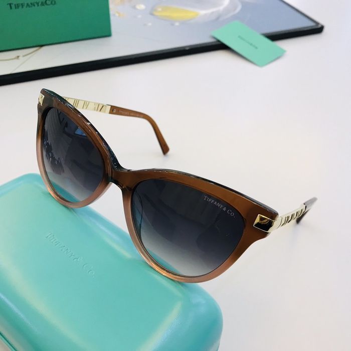 Tiffany Sunglasses Top Quality TFS00004