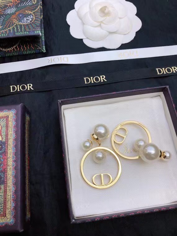Dior Earrings CE7811
