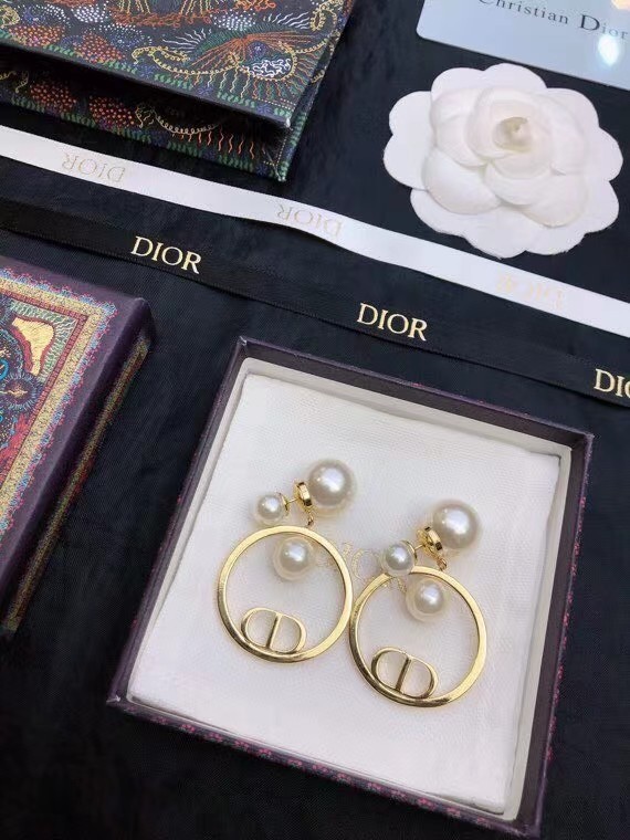 Dior Earrings CE7811