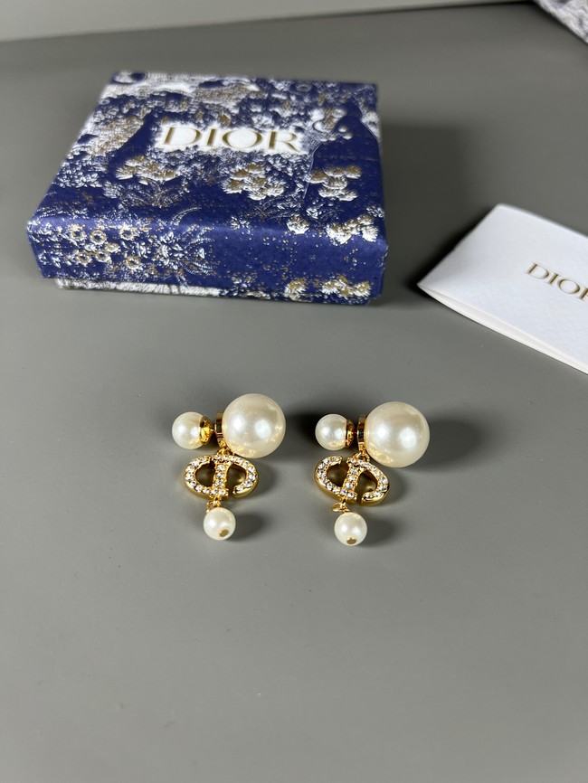 Dior Earrings CE7807