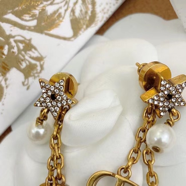 Dior Earrings CE7992