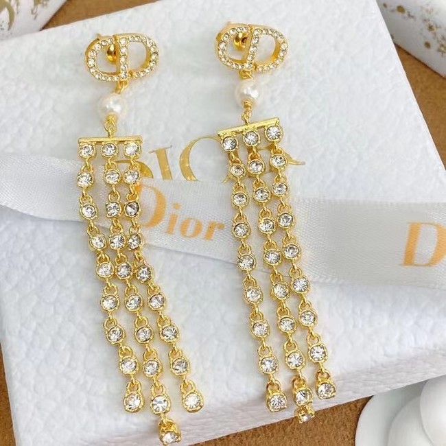 Dior Earrings CE7994