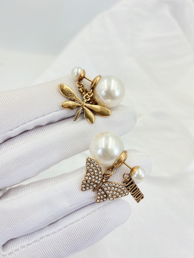 Dior Earrings CE8005