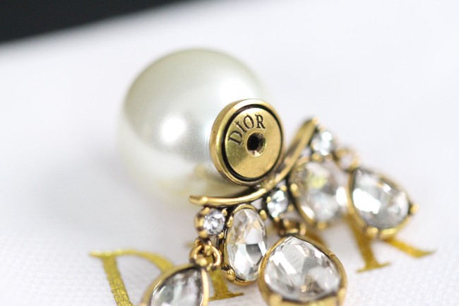 Dior Earrings CE8033