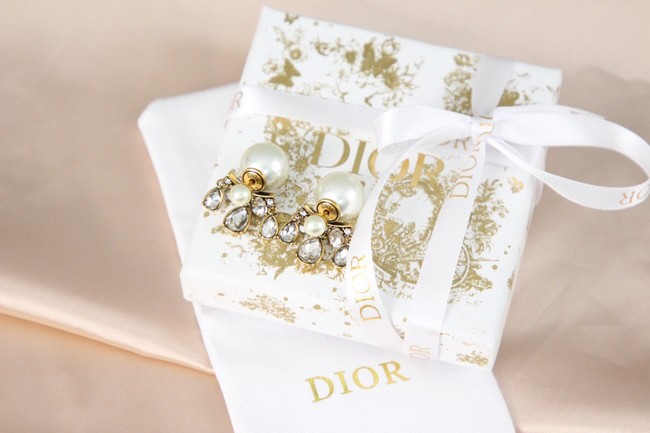 Dior Earrings CE8033