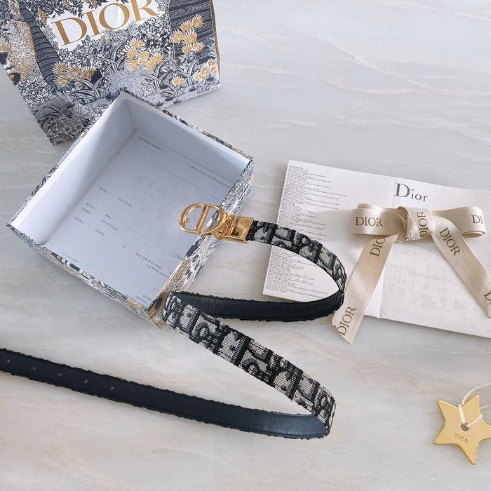 Dior Belt 20MM CDB00012