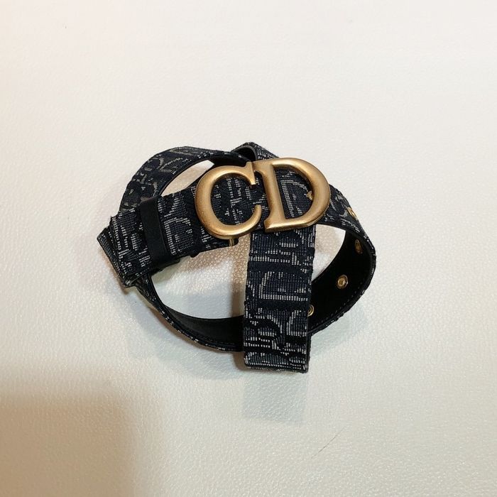 Dior Belt 30MM CDB00026