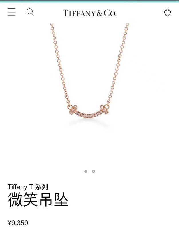 TIFFANY Necklace CE8061