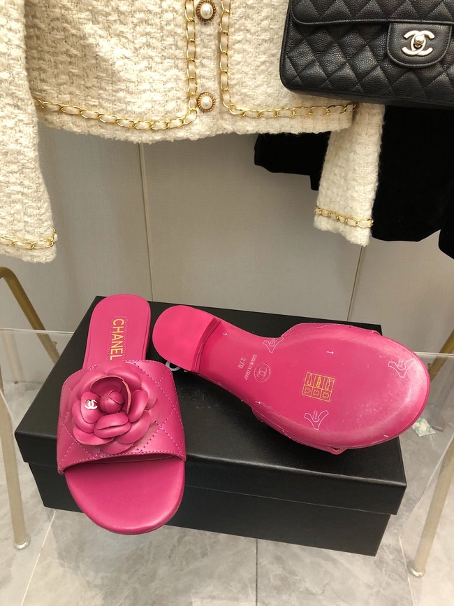 Chanel slipper 65121-4