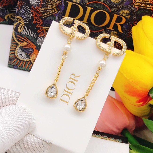 Dior Earrings CE8097