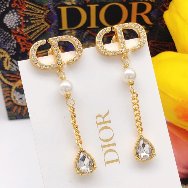 Dior Earrings CE8097