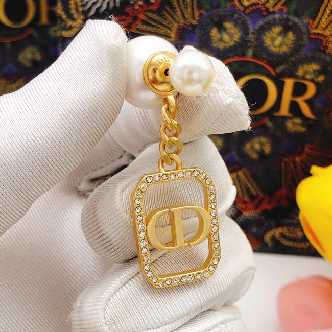 Dior Earrings CE8099