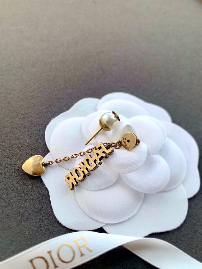 Dior Earrings CE8147