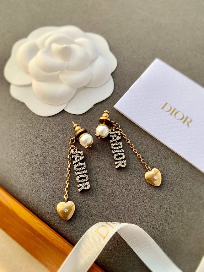Dior Earrings CE8147