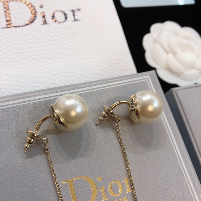 Dior Earrings CE8172