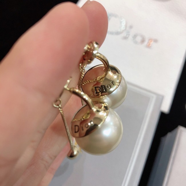 Dior Earrings CE8172