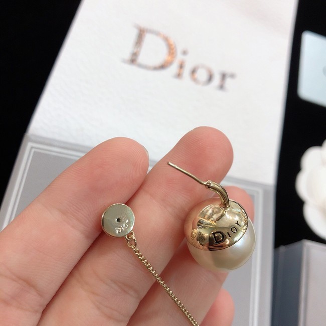 Dior Earrings CE8172