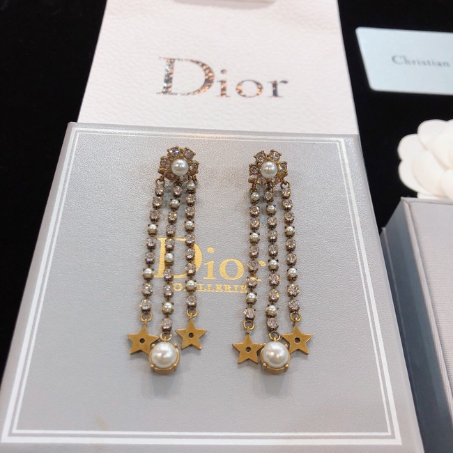 Dior Earrings CE8173