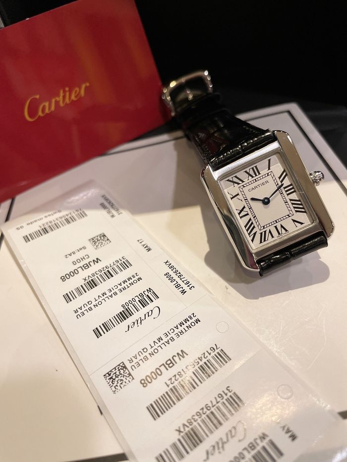 Cartier Watch CTW00063-1