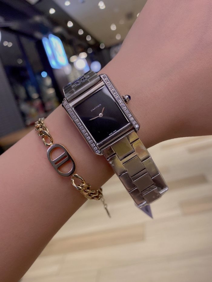 Cartier Watch CTW00065-1