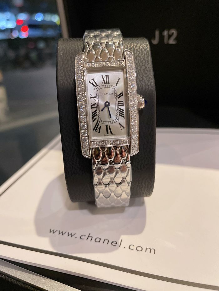 Cartier Watch CTW00083-1