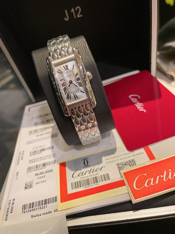 Cartier Watch CTW00083-2