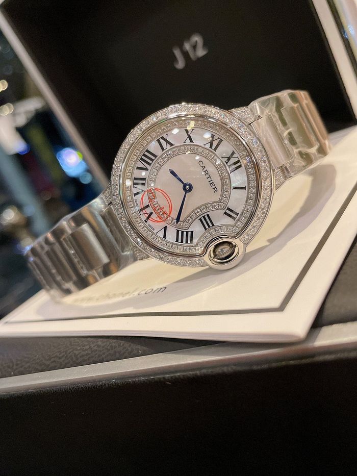 Cartier Watch CTW00103