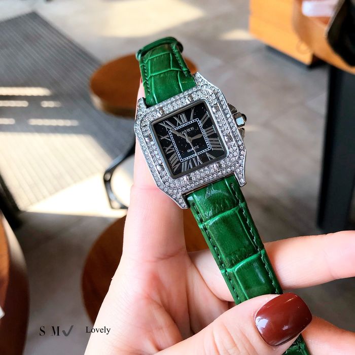 Cartier Watch CTW00109-3