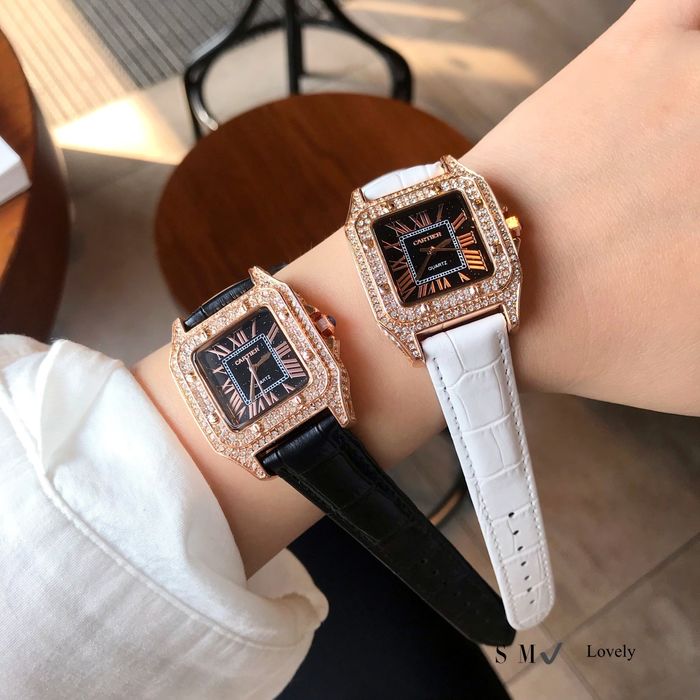 Cartier Watch CTW00110-1