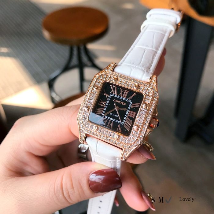 Cartier Watch CTW00110-5