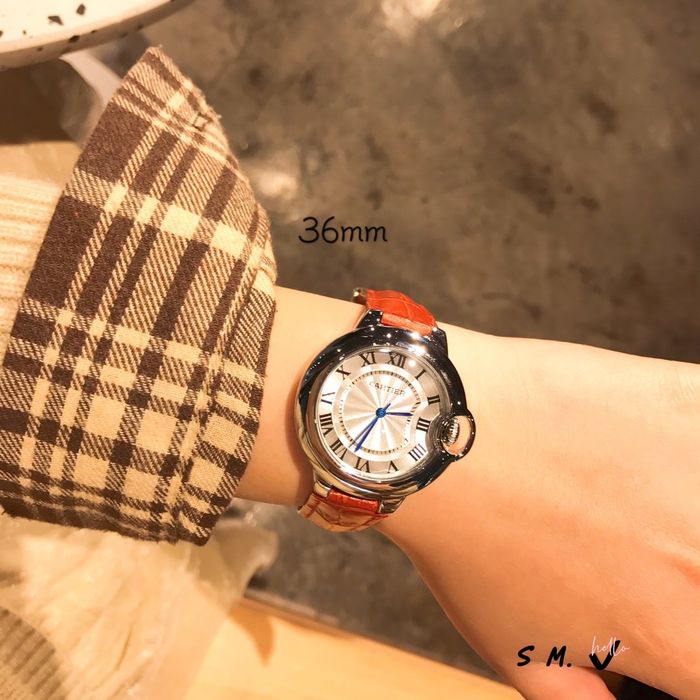 Cartier Watch CTW00117-3